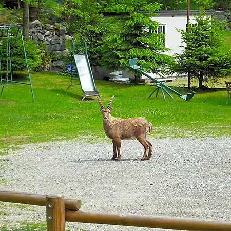 فندق Fior Di Roccia